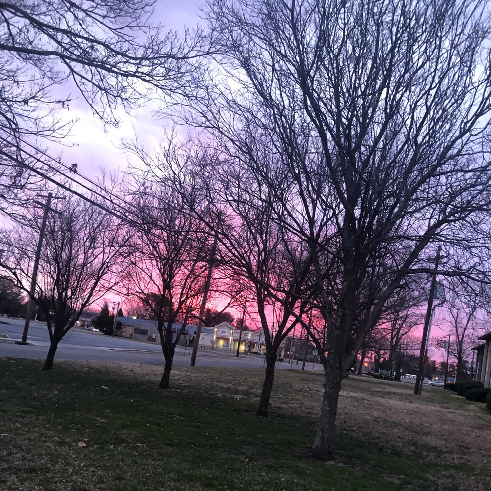 Meet your Posher, Nilah